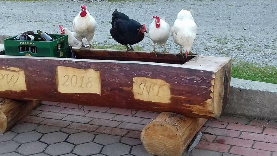 فيلا Schirfhof Michaelerberg المظهر الخارجي الصورة